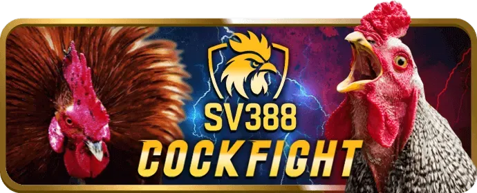 Hình ảnh tổng hợp các môn thể thao tại f1689 casino